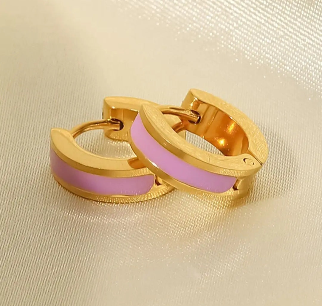 Stainless Steel Waterproof Hoop Earrings.