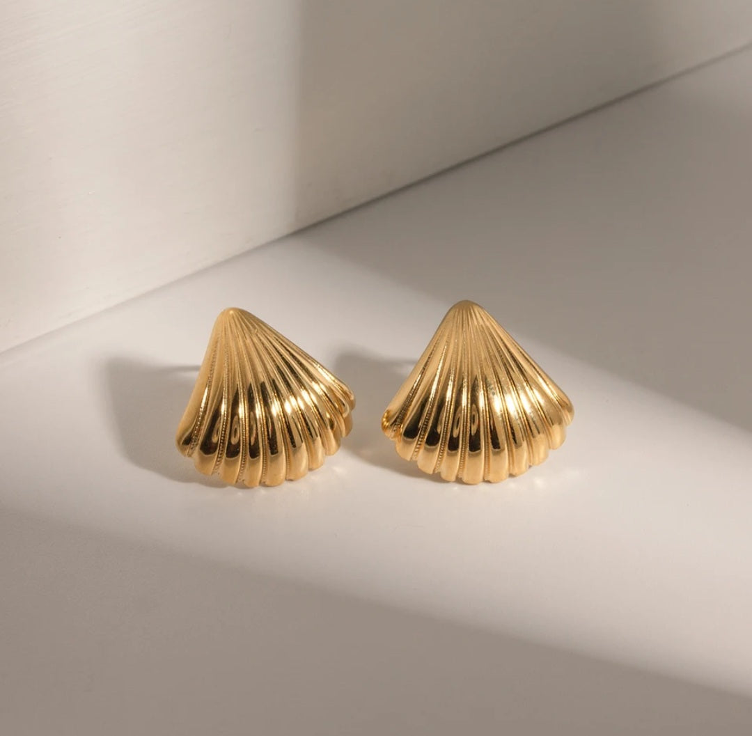 Stainless Steel Seashell  PVD Plated Seashell Stud Earrings. - YeYesJewelryDesign