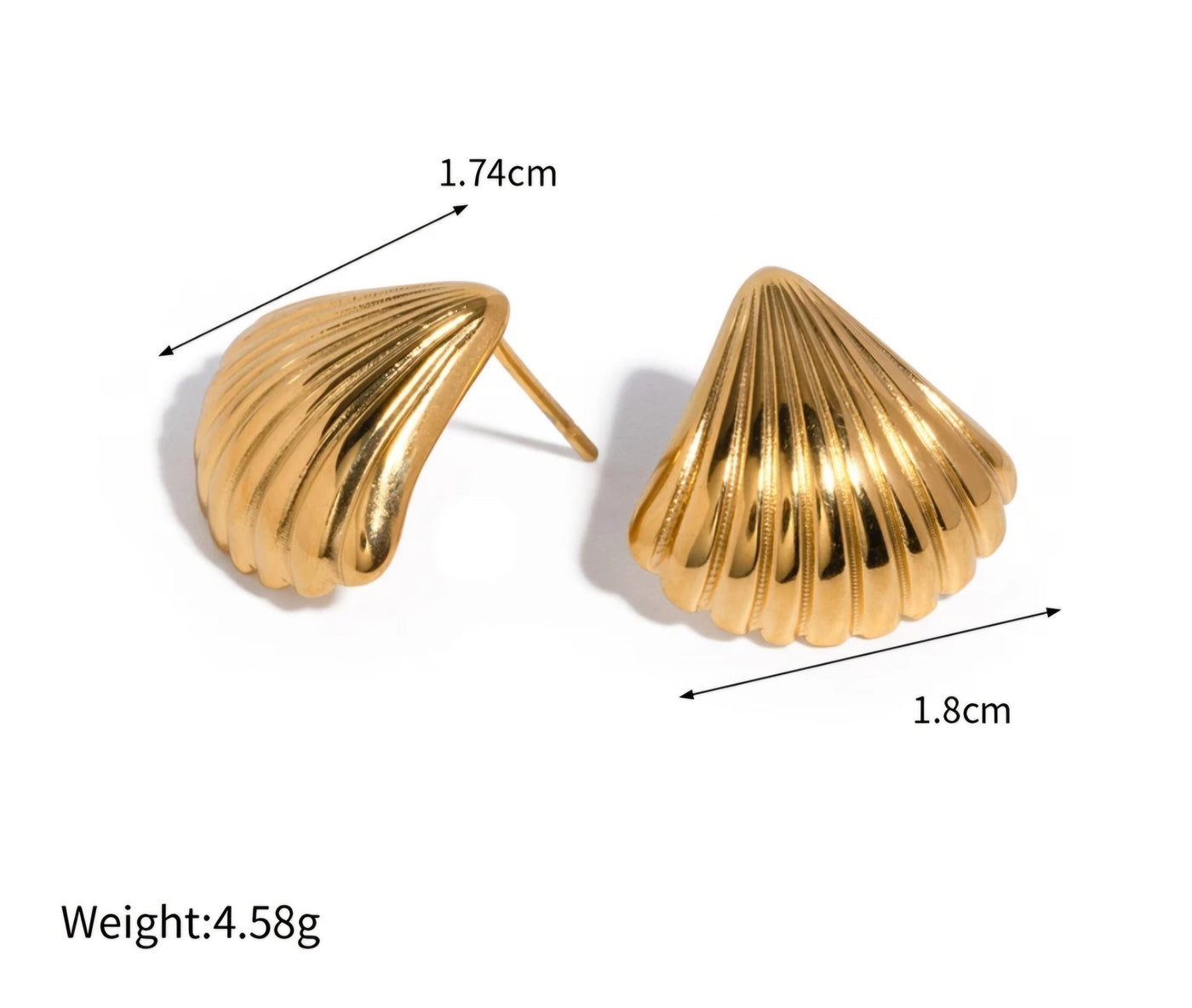 Stainless Steel Seashell  PVD Plated Seashell Stud Earrings. - YeYesJewelryDesign