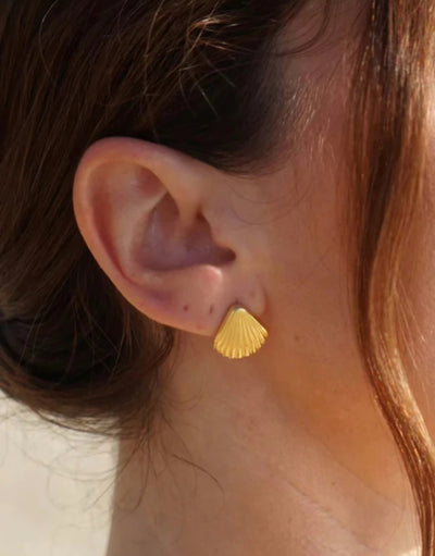Stainless Steel Seashell  PVD Plated Seashell Stud Earrings. - YeYesJewelryDesign