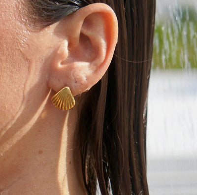 Stainless Steel Seashell  PVD Plated Seashell Stud Earrings. - YeYesJewelryDesign