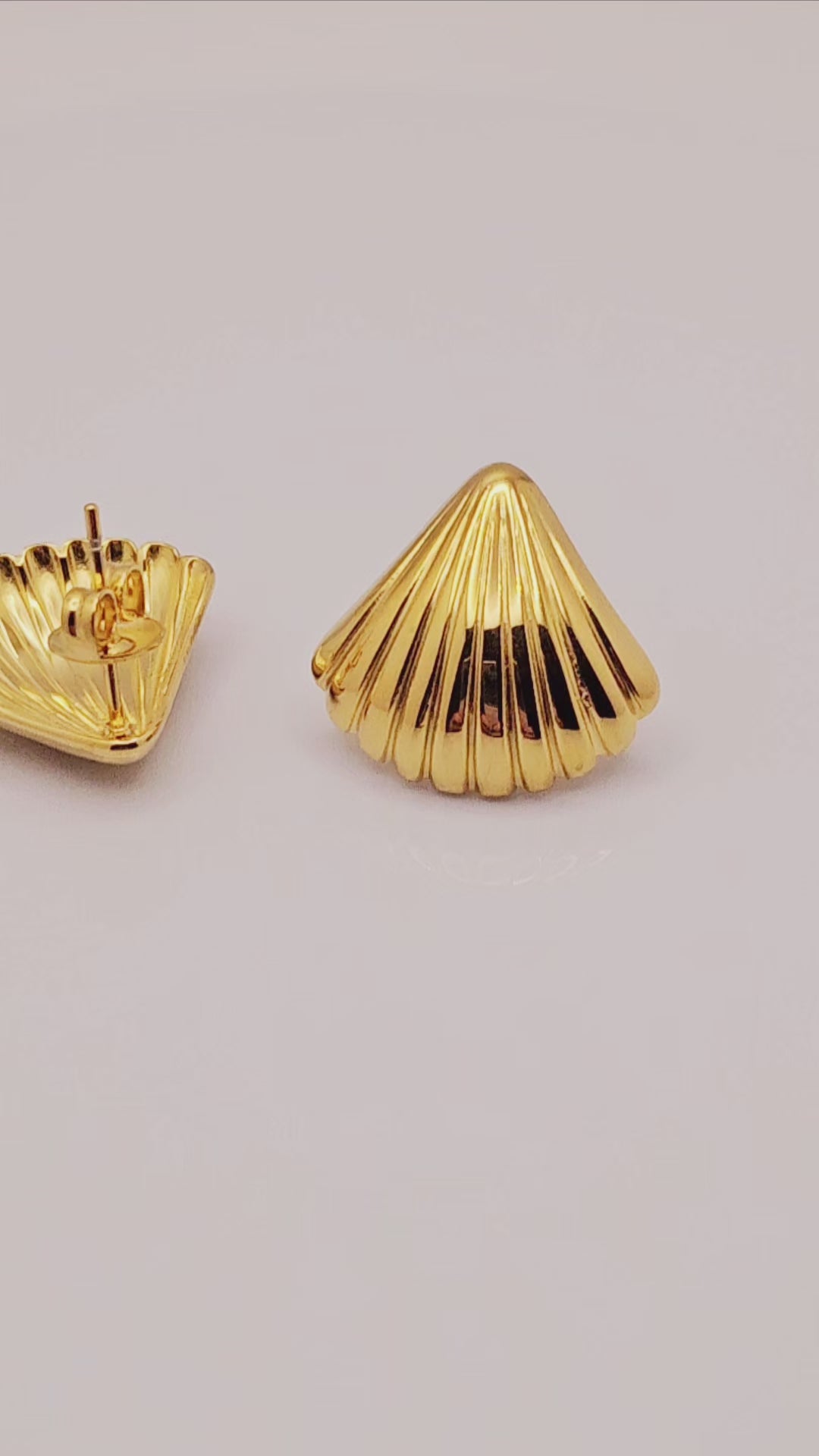 Stainless Steel Seashell PVD Plated Seashell Stud Earrings.