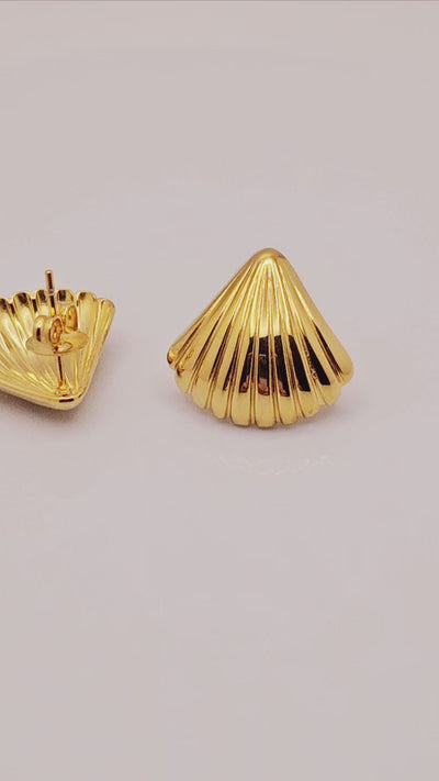 Stainless Steel Seashell PVD Plated Seashell Stud Earrings.